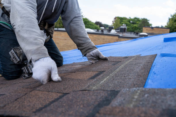 Best Roof Ventilation Installation  in Rose Lodge, OR