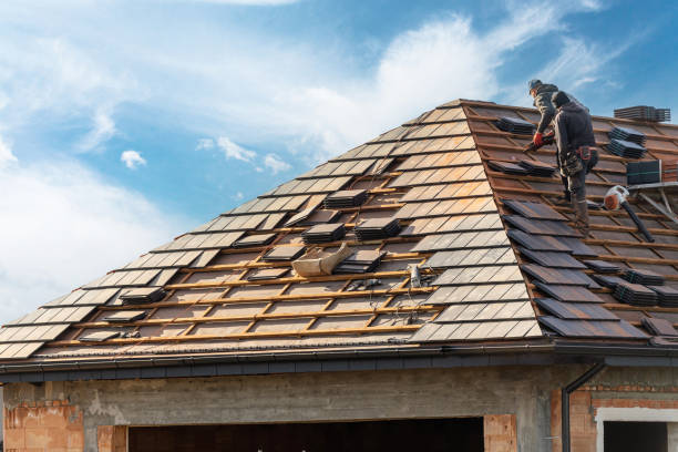 Best Asphalt Shingle Roofing  in Rose Lodge, OR